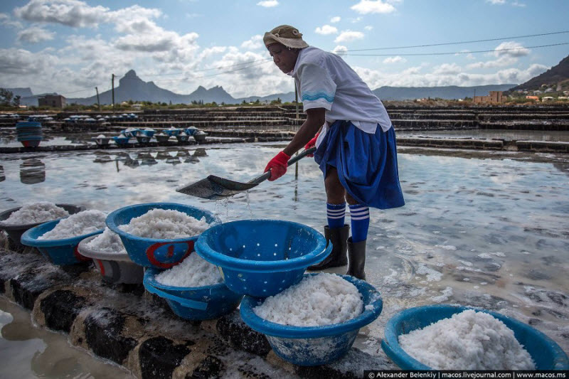 Как добывают соль на острове Маврикий в Индийском океане