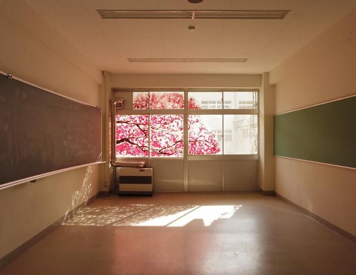 Рисунок на окнах в виде цветущей сакуры