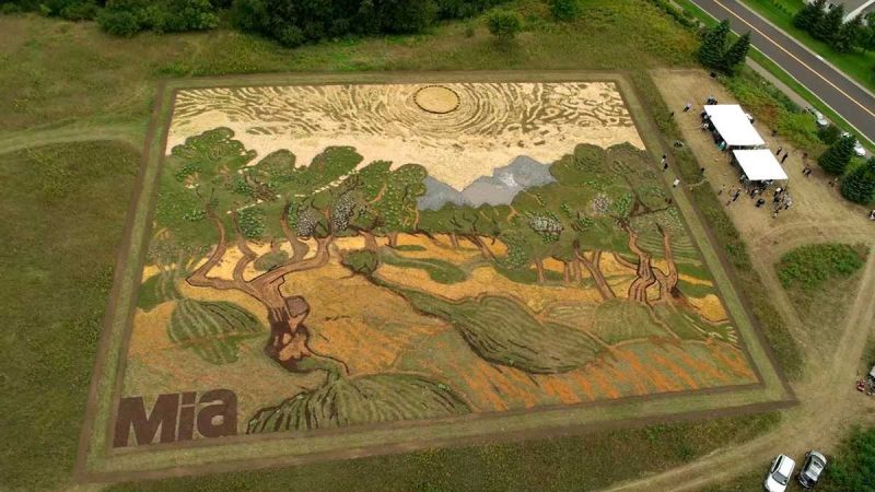 Гигантская копия картины Ван Гога на поле