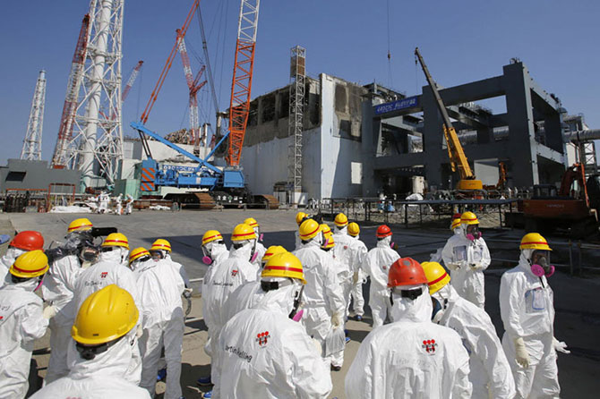 Мутации растительного мира на Фукусиме