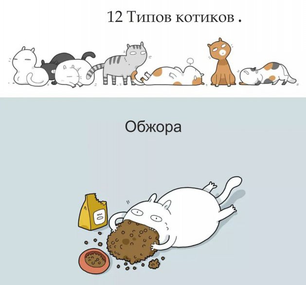 12 типов котов в веселых рисунках