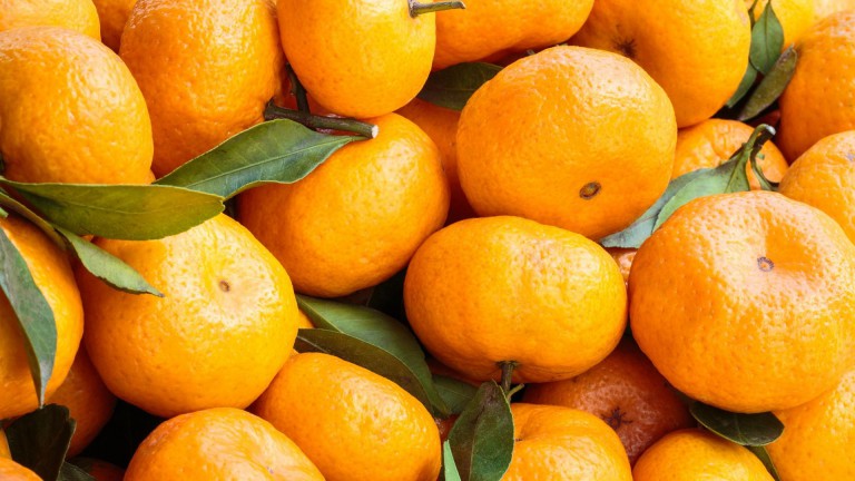 10 интересных фактов о любимчике Нового года — мандарине