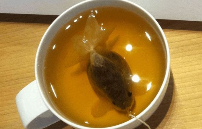 Креативные чайные пакетики — золотые рыбки