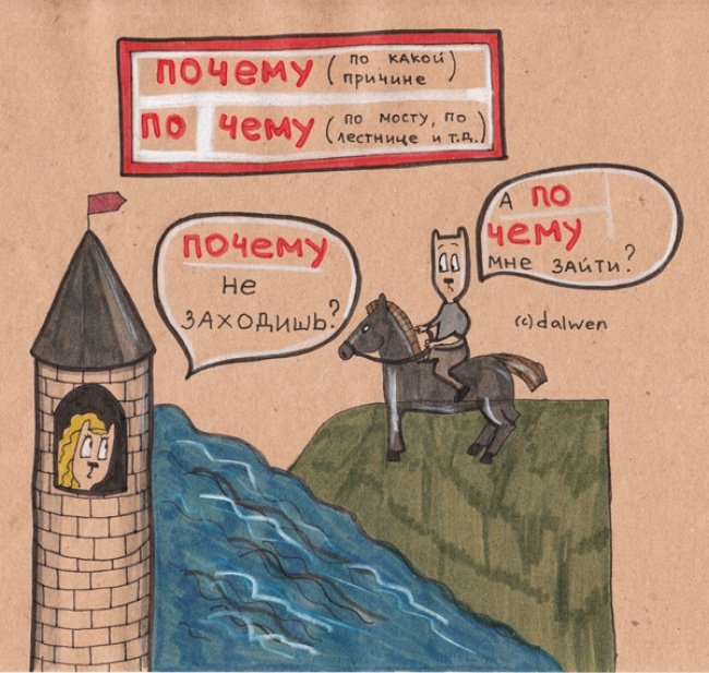 Грамотные котики в иллюстрациях Анны Беловицкой