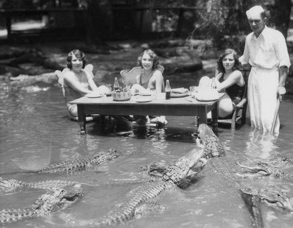 На ферме аллигаторов, Лос-Анджелес 1920 год