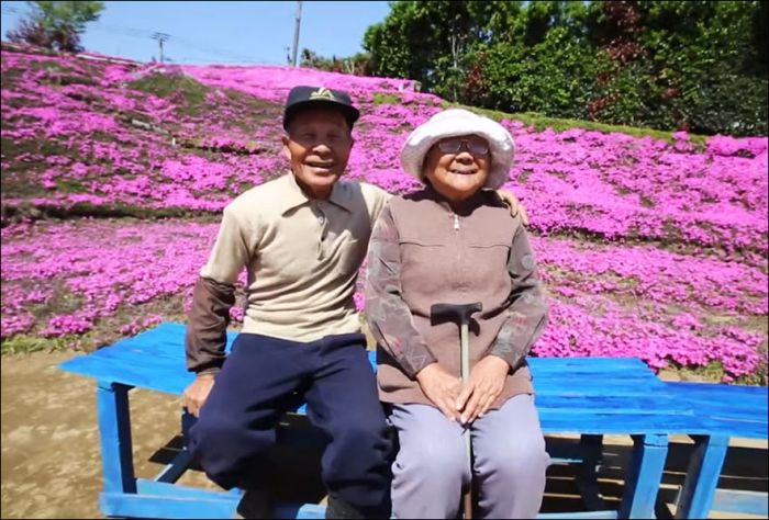 Японский фермер разбил гигантский цветник для слепой жены