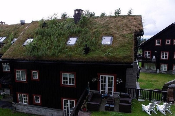 Живые крыши домов в Норвегии