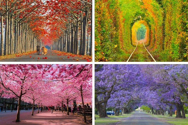 15 максимально уютных улочек мира, которые становятся еще прекраснее весной