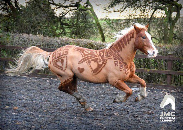 Фигурные стрижки лошадей от британской художницы