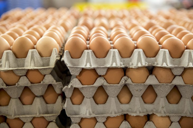 10 важных фактов о яйцах от Росконтроля