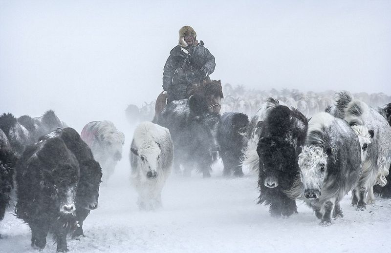 Весеннее переселение казахов в 40-градусный мороз