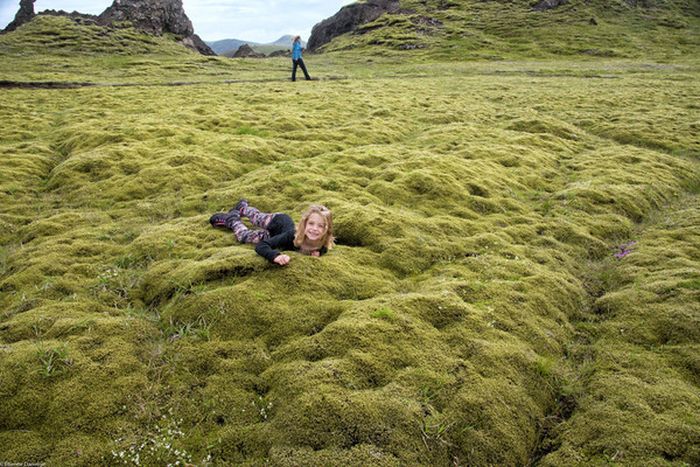 Удивительный исландский мох