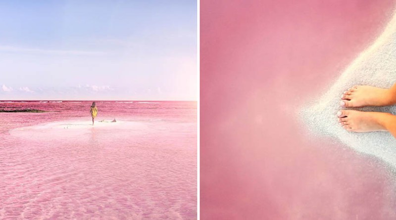 Розовая лагуна в Мексике — идеальное место создания фотографий для Instagram