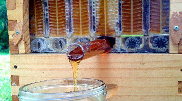 Уникальный улей с автоматическим сбором мёда