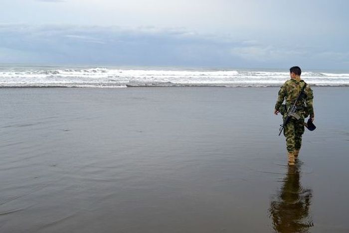 Колумбийские моряки спасают детенышей черепах