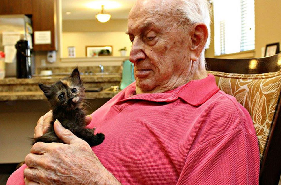 Дом престарелых, где заботятся о пожилых людях и о брошенных животных