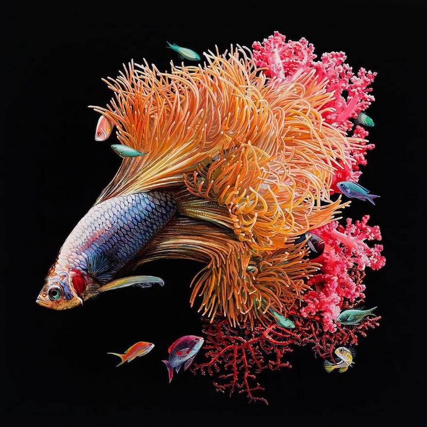 Гиперреалистичные рисунки рыбок от Лизы Эриксон