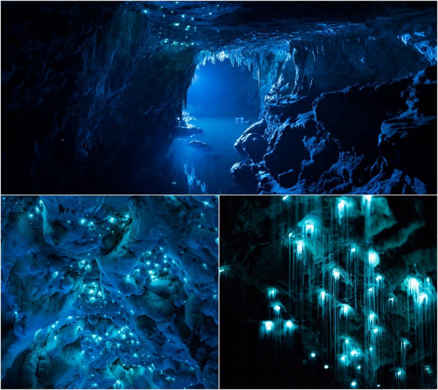 Уникальная пещера в Новой Зеландии, которой 30 миллионов лет