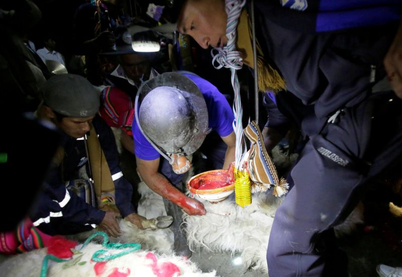 Боливийские шахтеры приносят в жертву злому духу алкоголь, коку, сигареты и лам