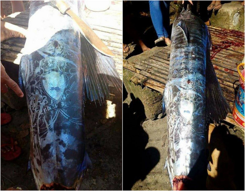 На Филиппинах выловили рыбу с замысловатыми татуировками