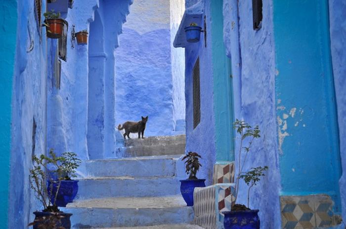 Синий городок Шефшауен в Марокко