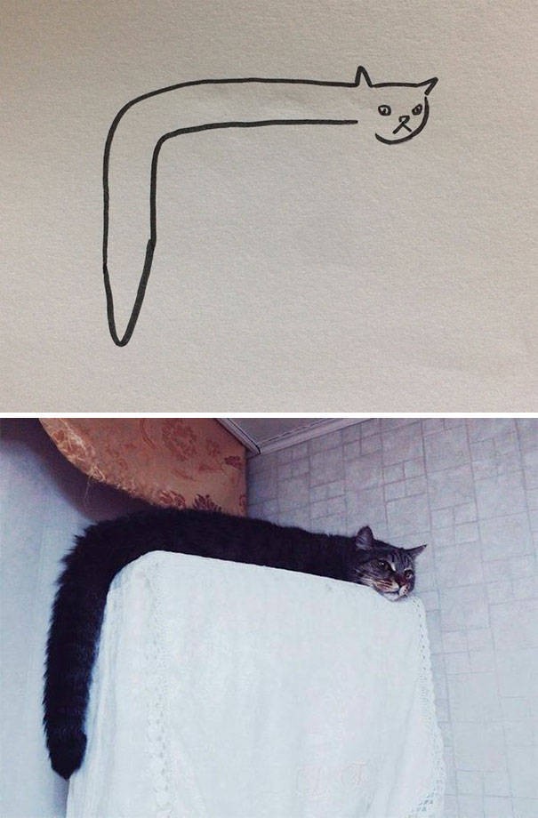 Рисунки котов и кошек для срисовки (100 фото)