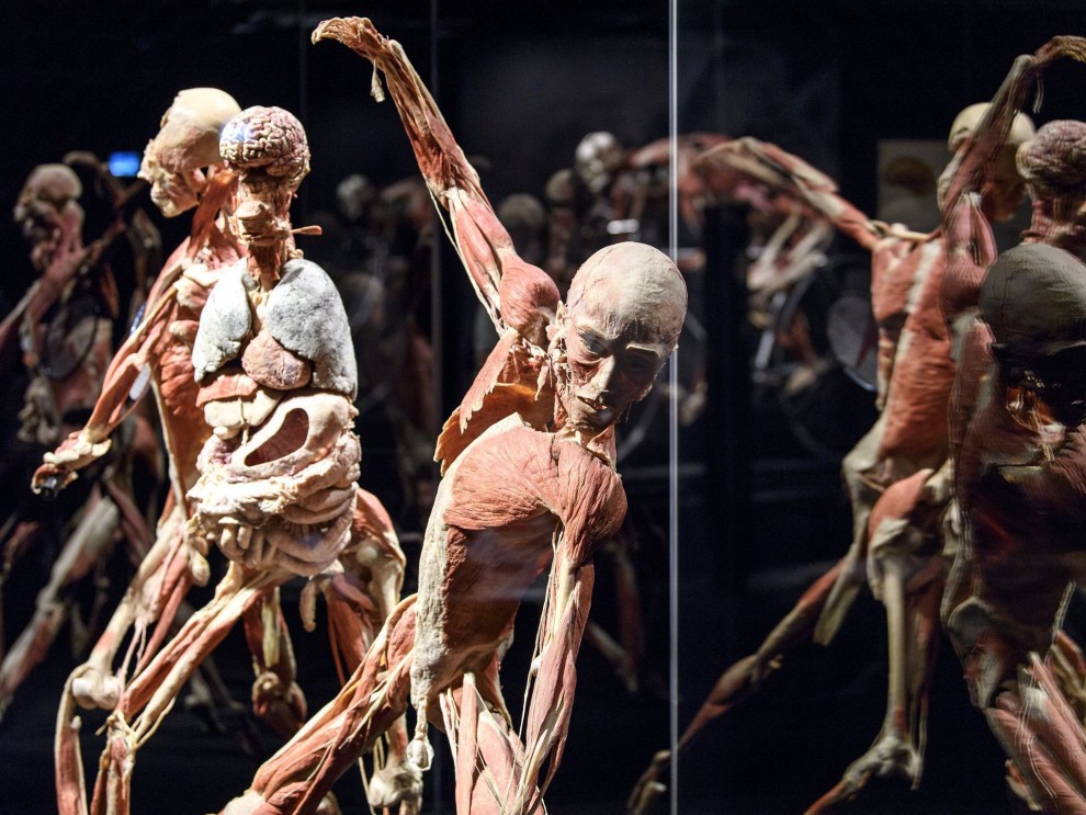 Анатомическая выставка в Женеве