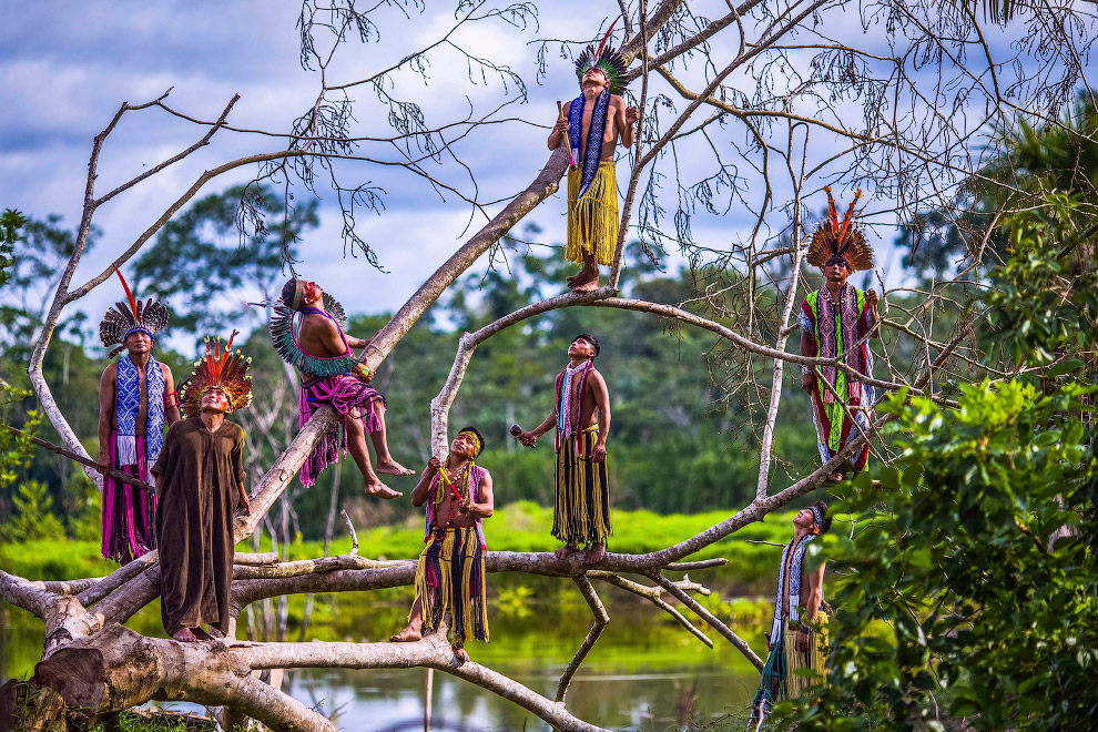 Жизнь бразильских племен в лесах