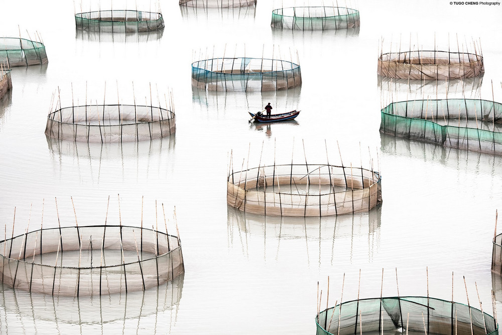 Красота китайской аквакультуры в минималистичных фотографиях