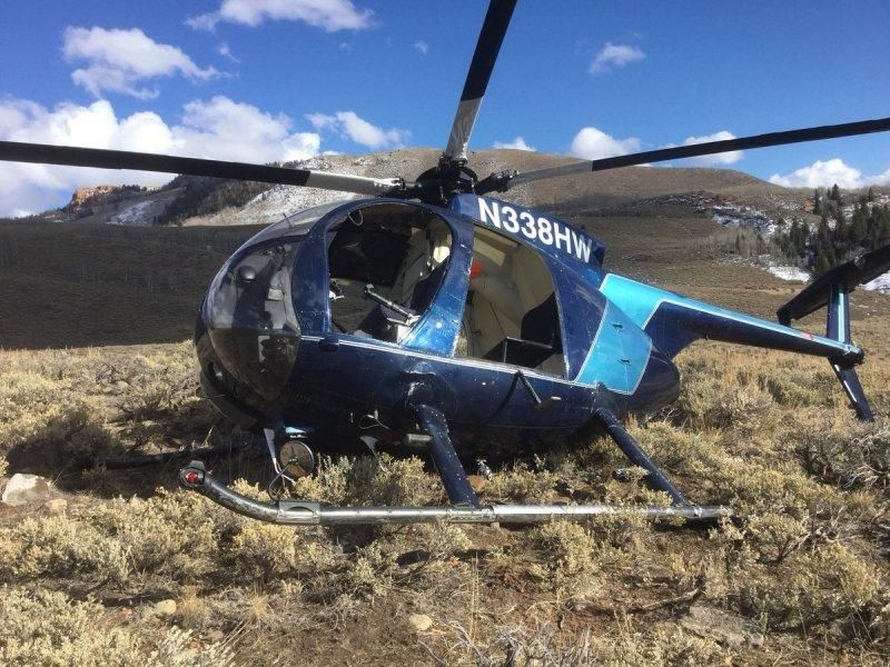 Вертолет рухнул из-за лося, зацепившегося рогами за хвостовой винт