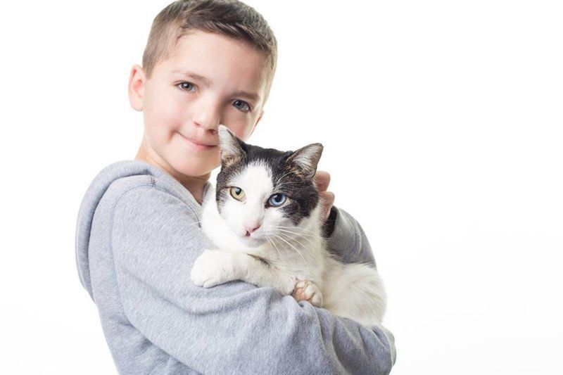 Мальчик с заячьей губой и разноцветными глазами нашел котенка-близнеца