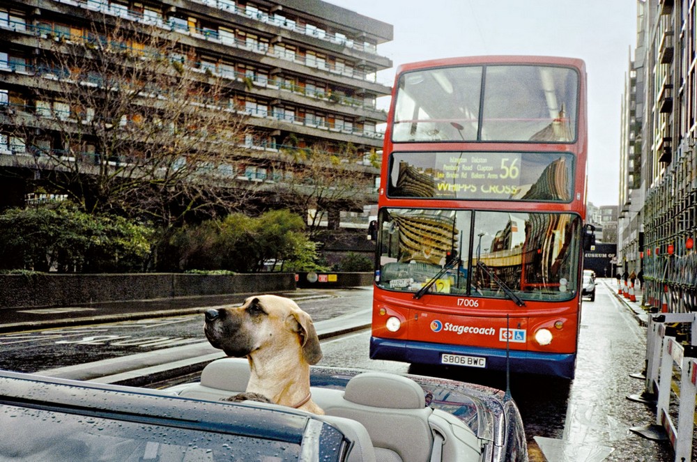 Жизнь лондонских улиц на снимках Мэтта Стюарта