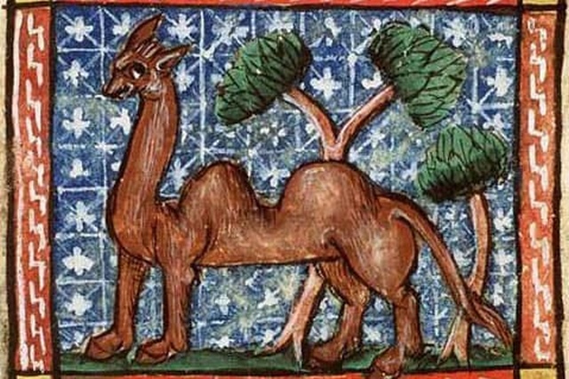 Экзотические животные на комичных рисунках средневековых художников
