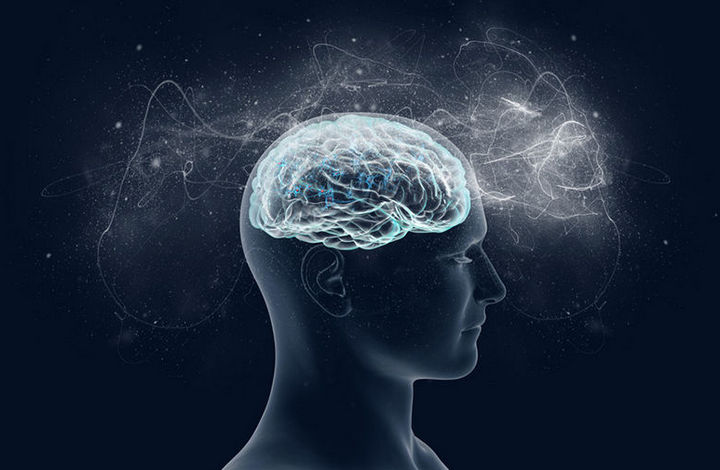 7 странных и необычных фактов о мозге