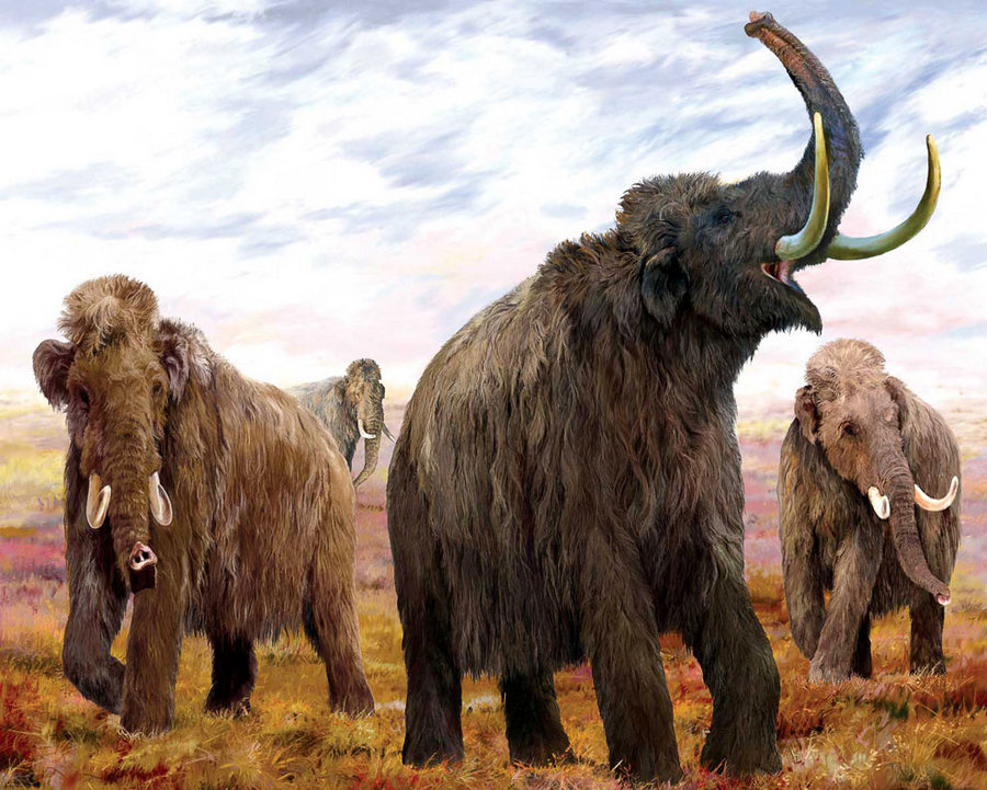 Доисторические животные, которых ученые могут воскресить
