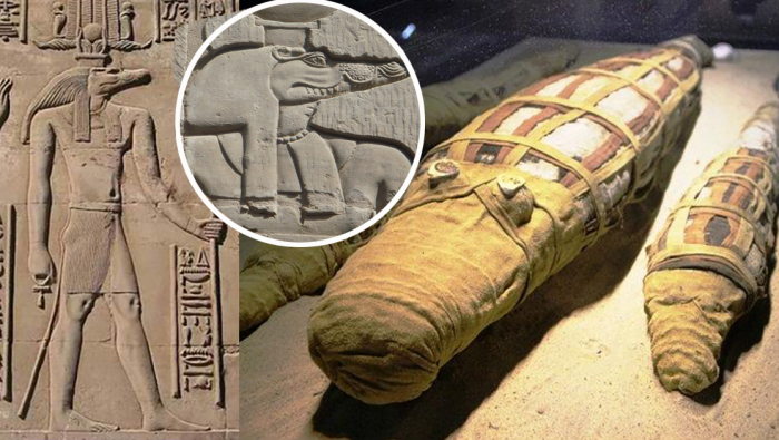 Обожествление крокодилов в Древнем Египте