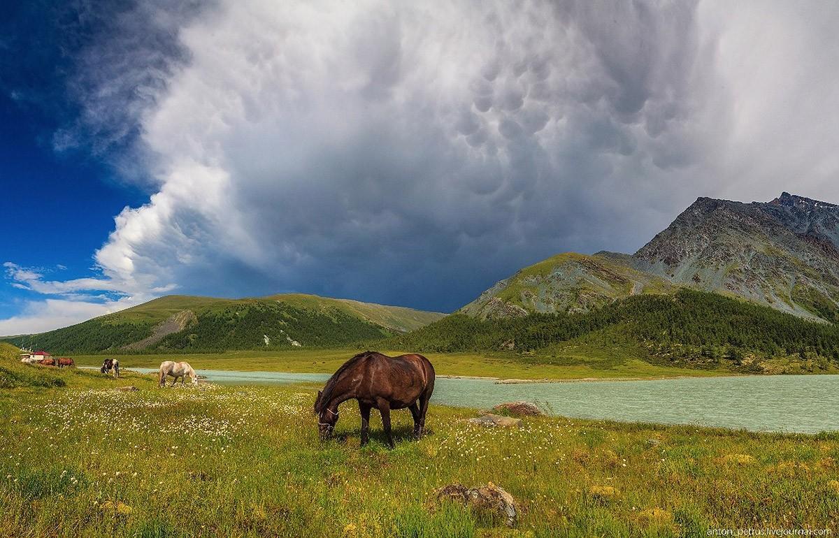 Фотографии с самыми красивыми видами Алтая
