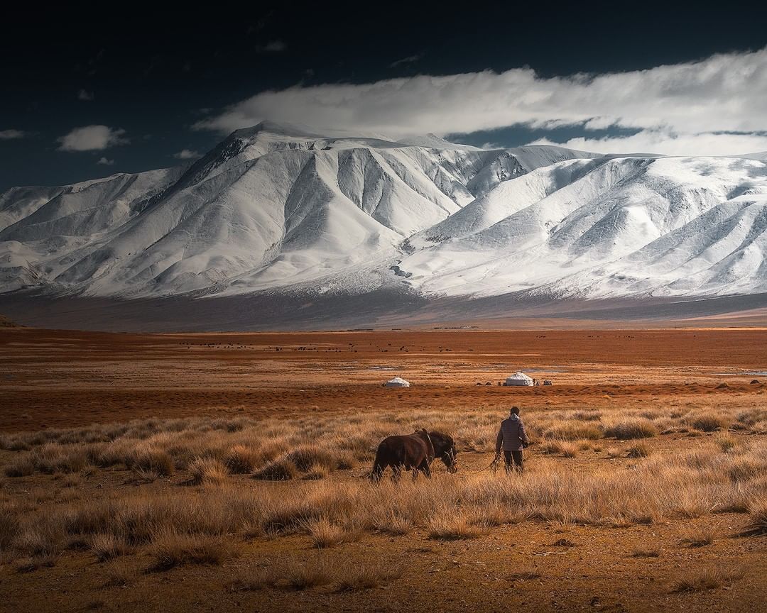 Кочевые пейзажи Монголии на снимках Денниса Хеллвига