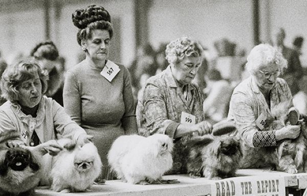 Трогательные винтажные кадры с собачьих выставок 60-70 годов