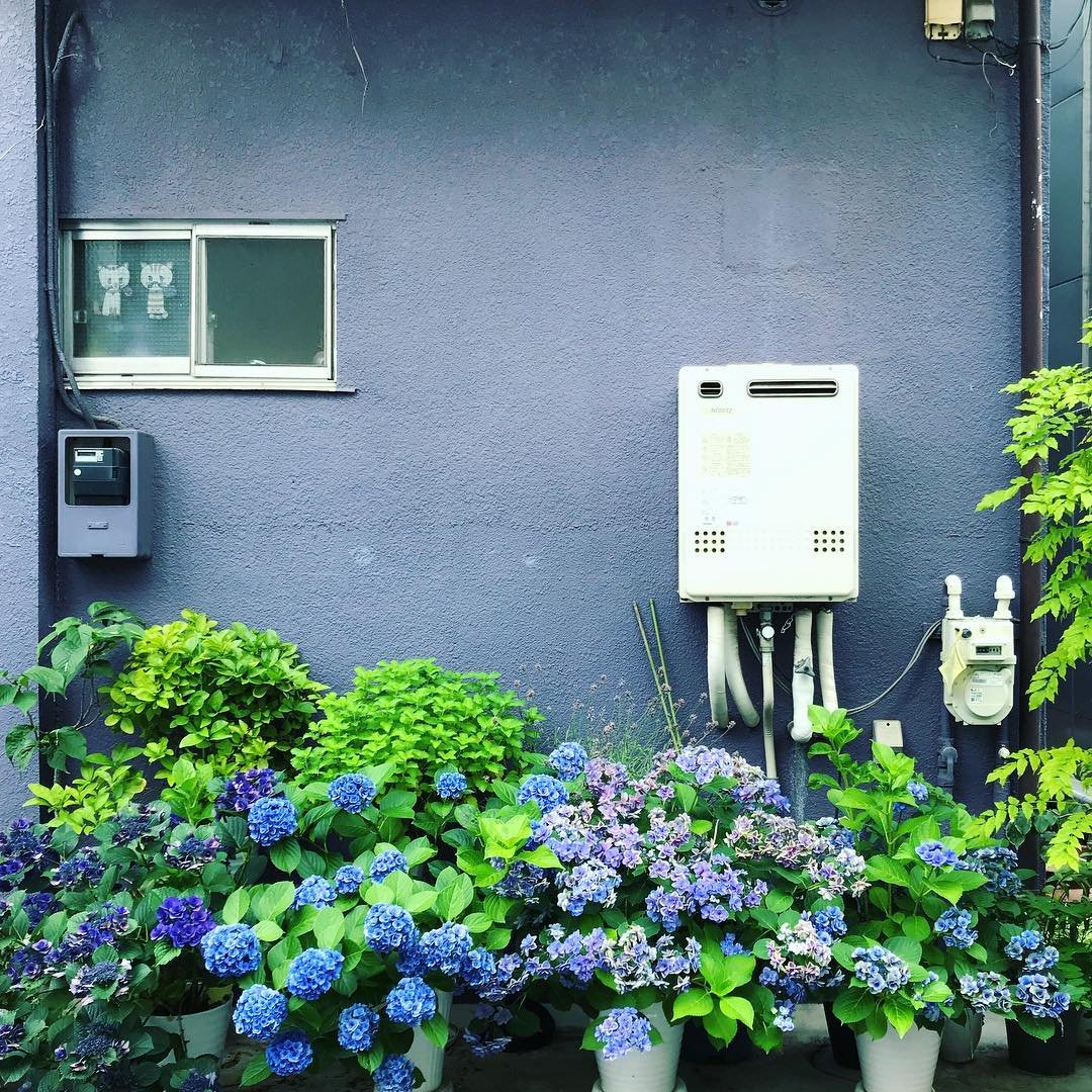Instagram-аккаунт, посвящённый красоте японских стен