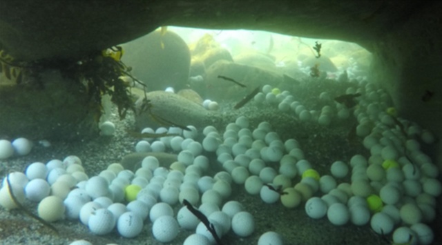 Фридайверы достали пару тонн мячиков для гольфа из океана