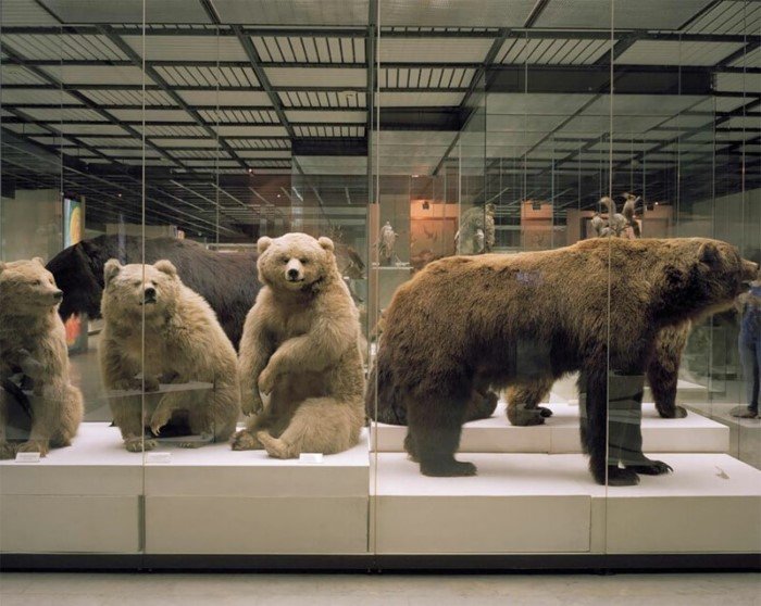 Потерянные во времени — фотографии из московских музеев