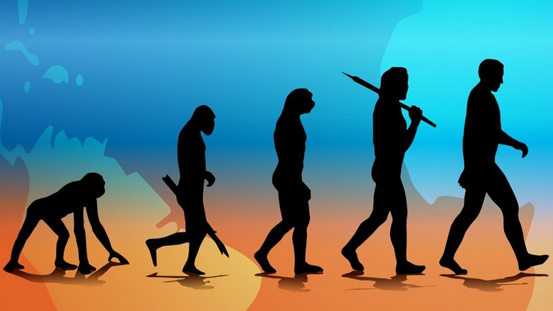 10 эволюционных изменений, которые оставили след на теле человека