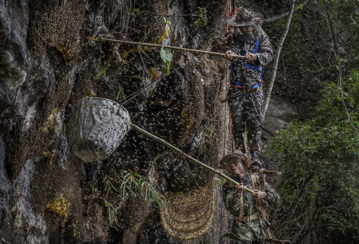 Охотники за диким мёдом в Китае