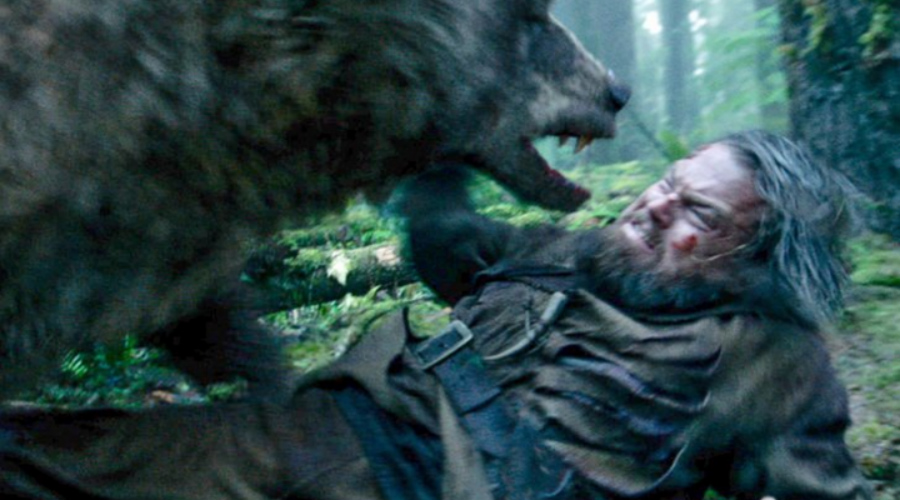 Как вести себя при нападении медведя