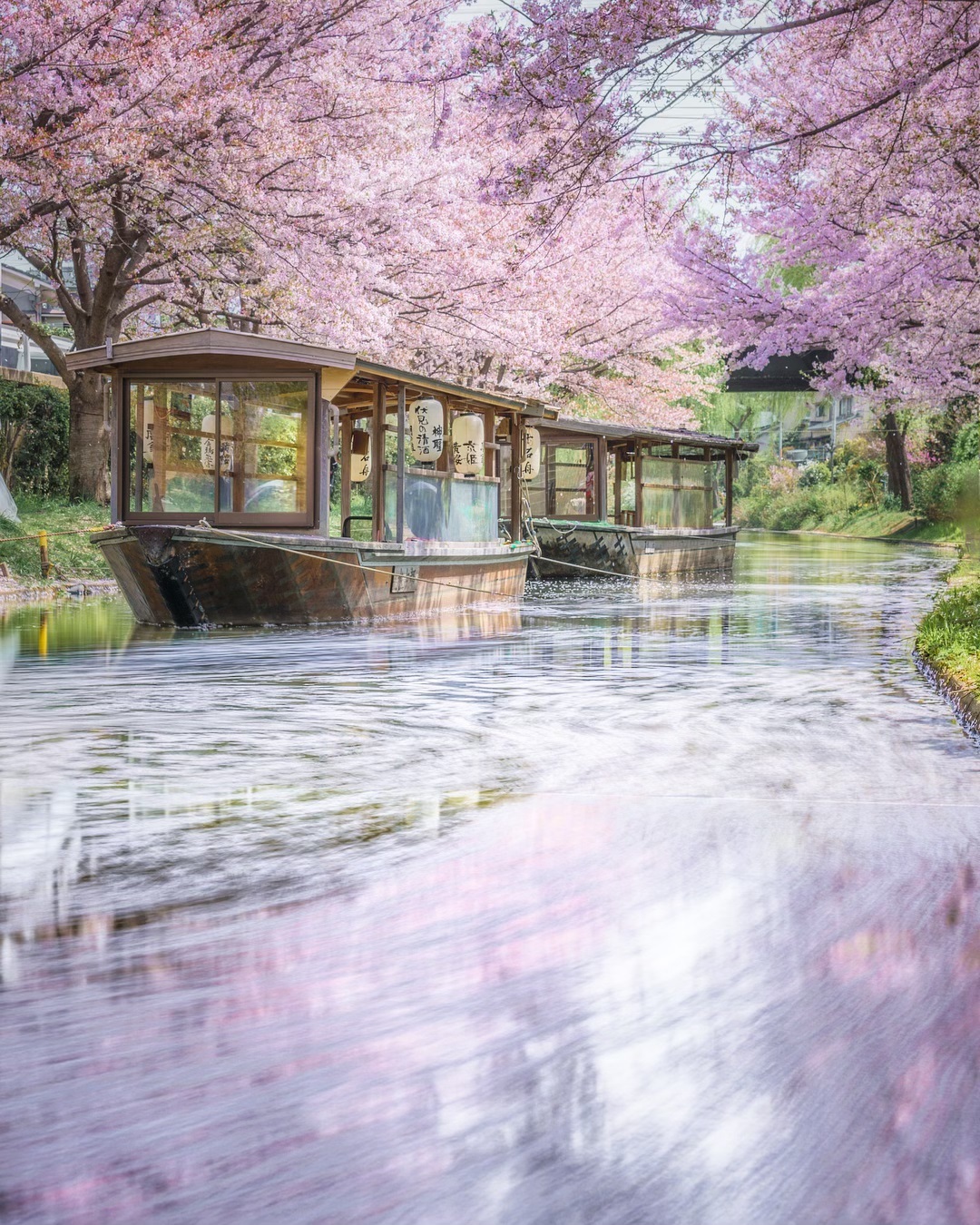 Городские и природные пейзажи Японии от Мицуки Кояма