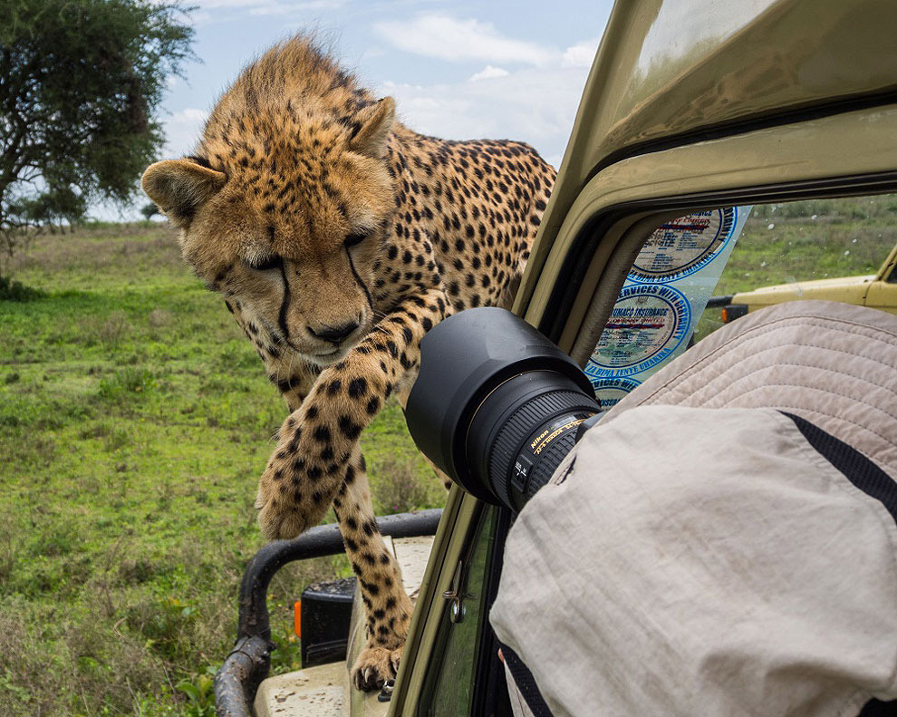 Фотографы в тесном контакте с животным миром