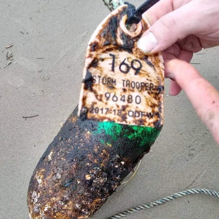 15 неожиданных находок, которые были сделаны на пляже