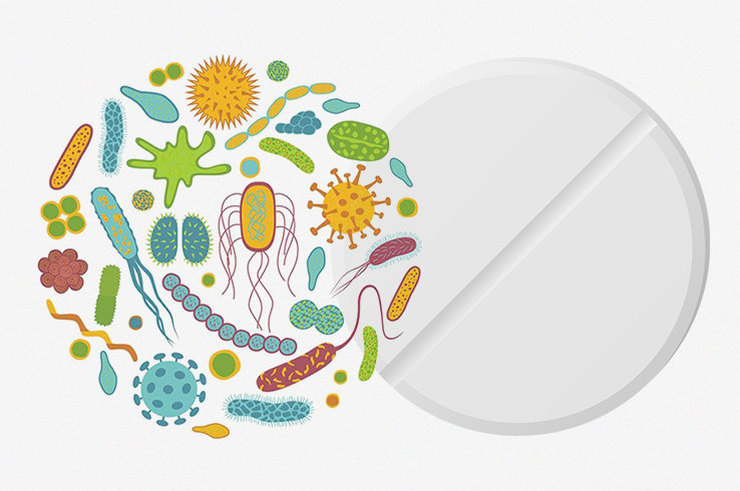 Нужно ли принимать пробиотики вместе с антибиотиками?