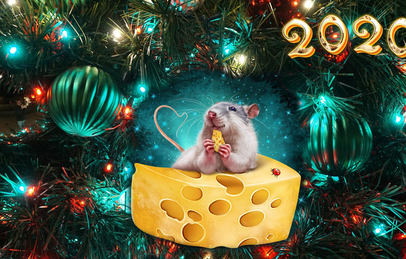 Какая цветовая гамма актуальна на Новый год Крысы?